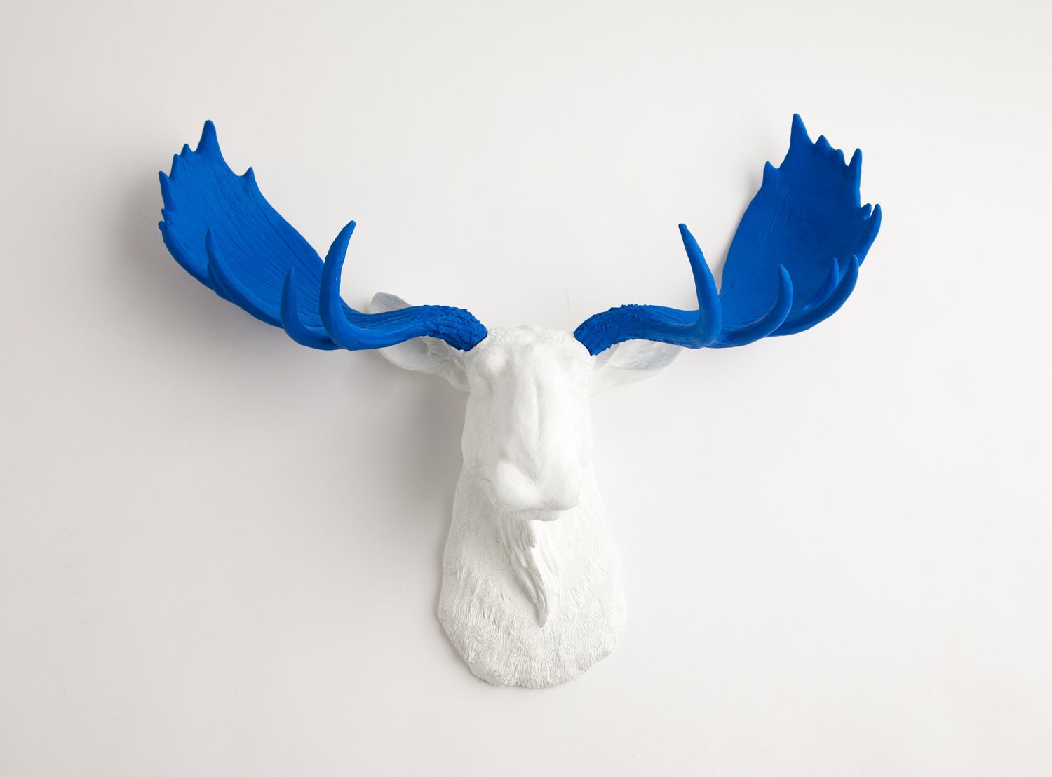 Faux Taxidermy - The Tsar - Resin Moose Head W/ Ocean Blue Antlers - Faux Taxidermy