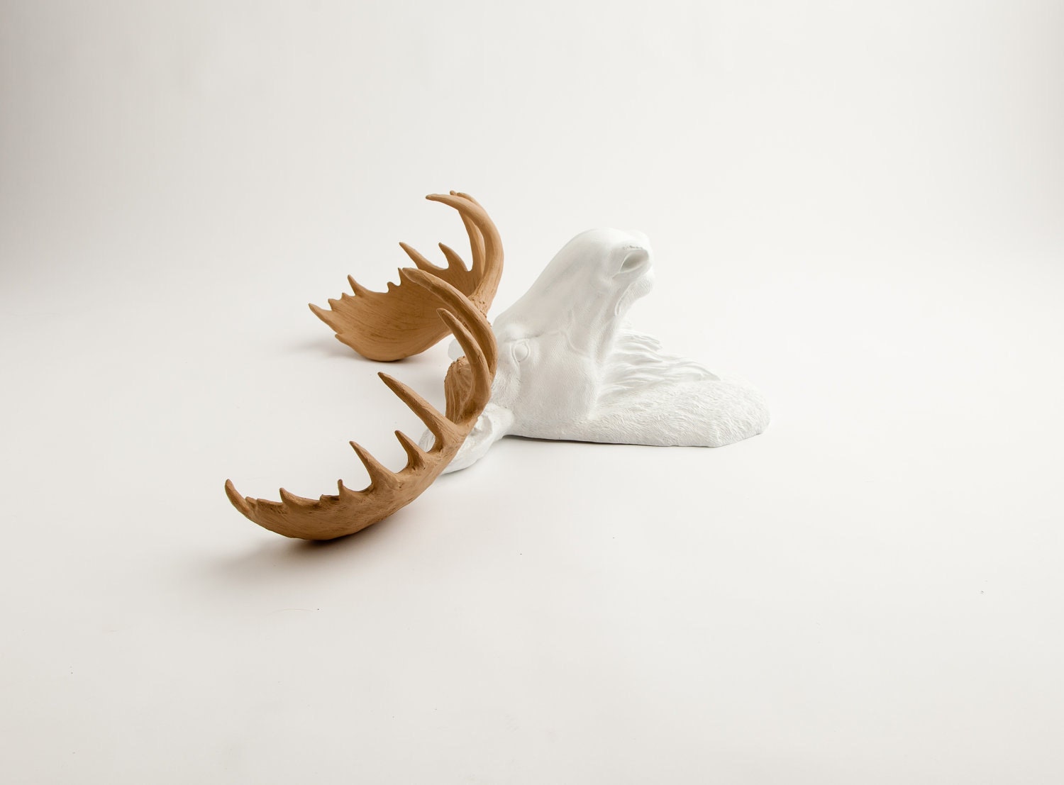 Faux Taxidermied - The Adolpho - White w/ Tan Antlers Resin Moose Head- Moose Resin White Faux Taxidermy- Chic & Trendy
