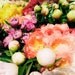 SALE - Flower Market, Rome - 8" x 10" Print - Europe Travel Photography - Fine Art Photography