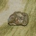 Pyrite Healing Stone From Southern New Mexico