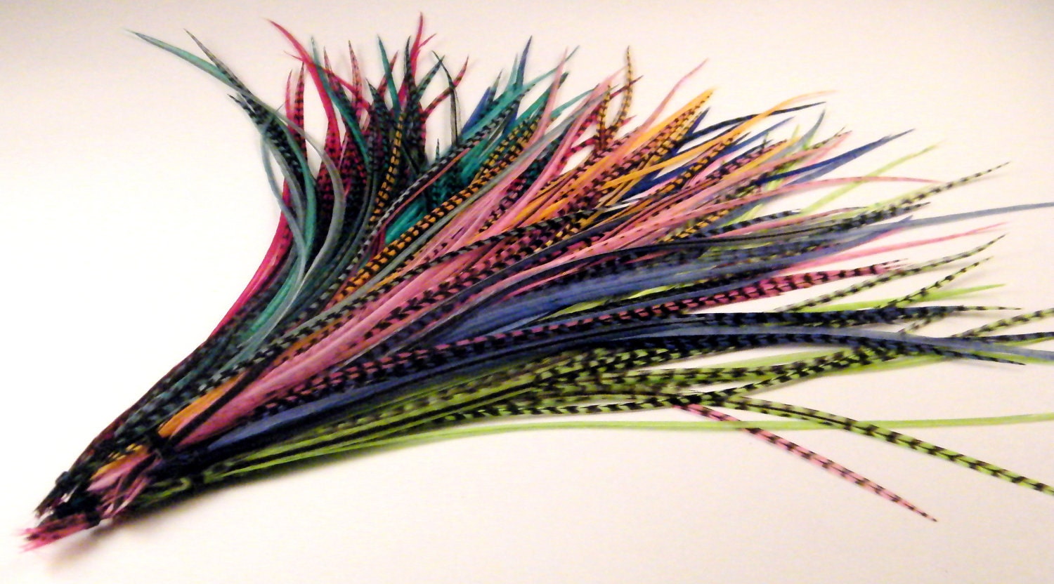 Wholesale Hair Feathers Extensions 50 feathers 7 to 12 inches long Special Discount Pricing hair threader and 20  micro links included