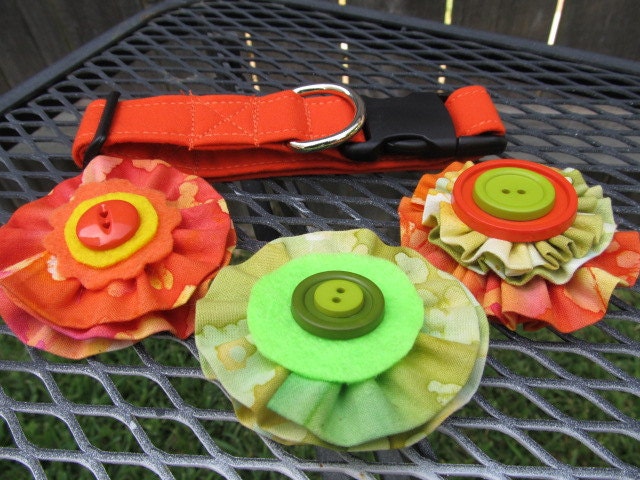 Dog Collar and Flowers MADE TO ORDER - Red-Orange Dog collar with Three Matching Flowers - Dog Collar and Accessories
