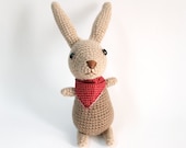 Amigurumi Crochet Brown Bunny Cute
