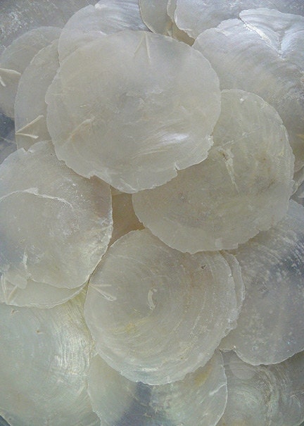 Natural White Capiz Shells Case Pack 25