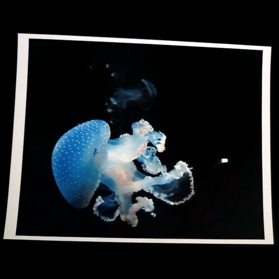 Jellyfish Photography Print, Underwater Ocean Photograph Photo 8x10, Sea Art