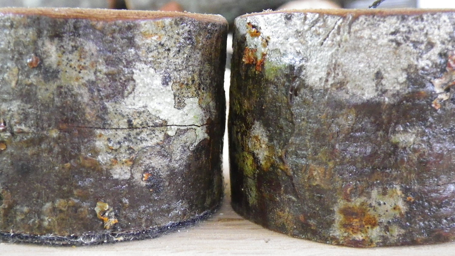Oak bark tea light candle holder set of 5