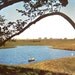 Vintage Poster Print Historic Nature and Agriculture Advertisement