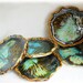 Thai lotus leaf mini plate collection, 5 pieces of Lotus leaf, Soap Dish, Tea Bag Holder, Candle Holder, Jewelry holder, Candle Holder