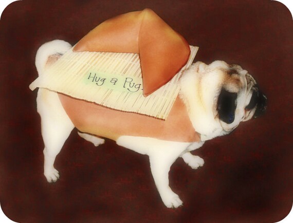 Items similar to Fortune Cookie Dog Costume on Etsy