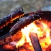 Hot Dog Roasters