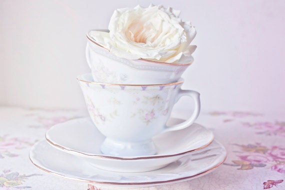 Teacups and Rose photo 8x12 Fine Art Photography teacup white rose print still life wall art decor