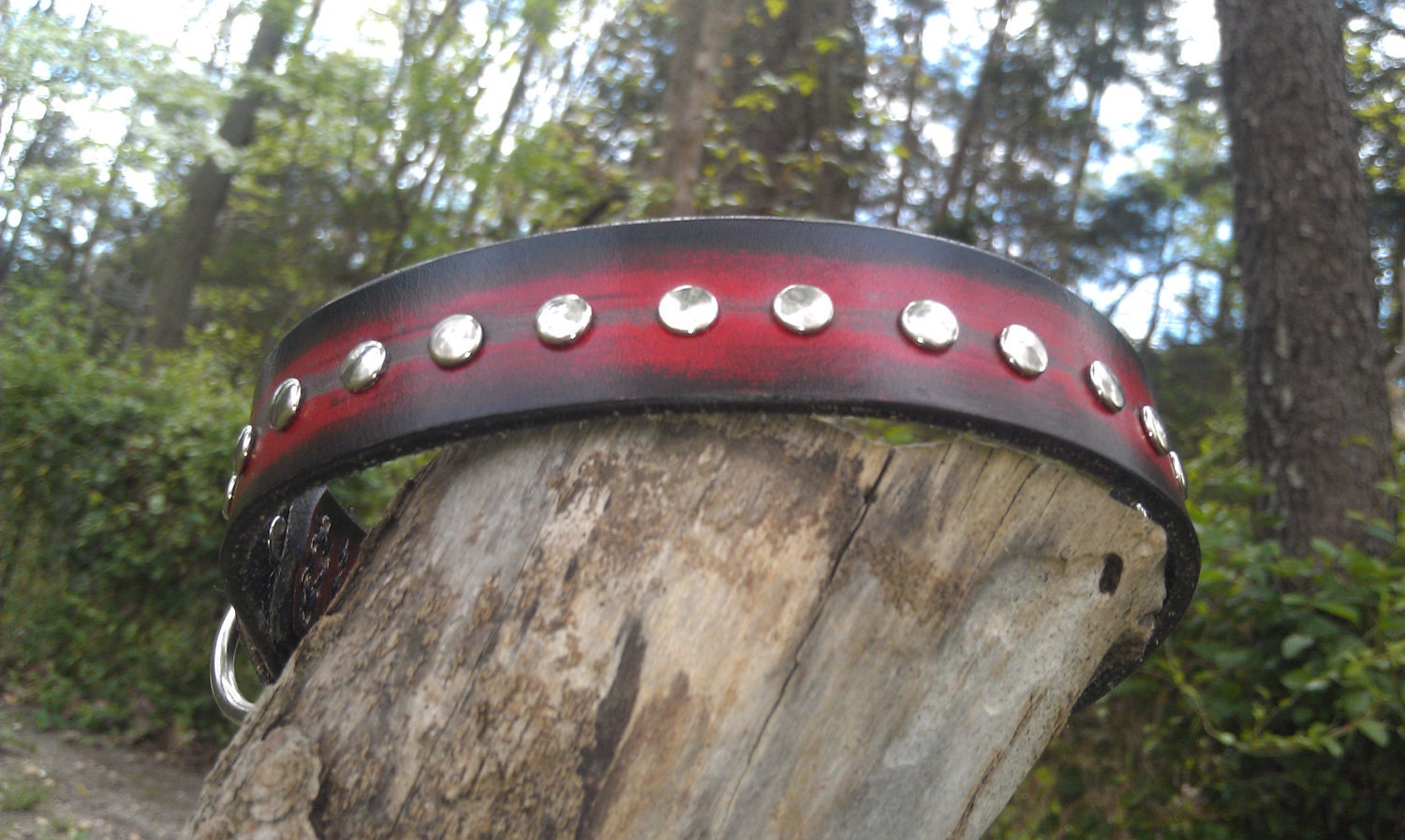 Handcrafted Custom leather collar red and black studded