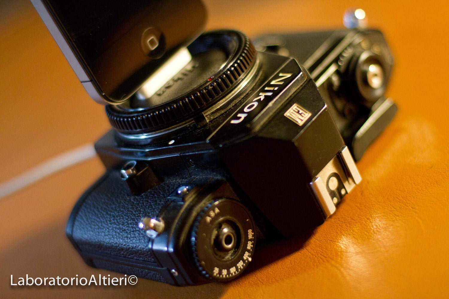 Custom Order for Erika - Nikon