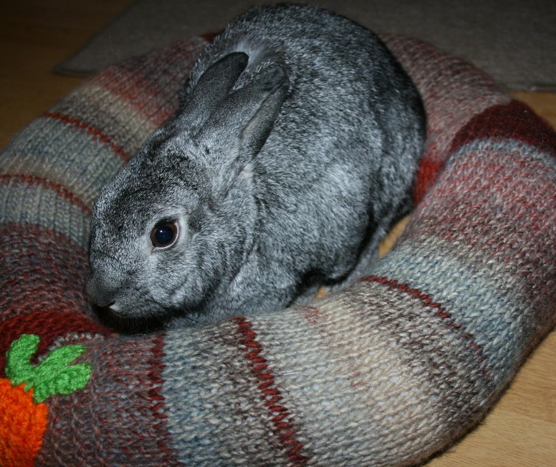 Ugli Donut bunny bed for medium sized bunny autumn colours with hand knitted carrot applique