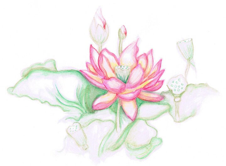 Lotus Print