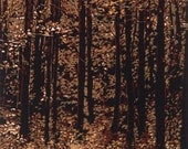 Five-color linocut print of Vermont forest in afternoon autumn light, entitled " Lucent Grove "
