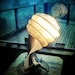 Custom Lamp: Elegant and Rustic Lightsculpture (lamp) with Driftwood base