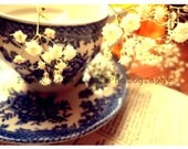 Fine Art Photography Teacup Blossom White Flowers Orange Light - 11x17" - Printed to Order