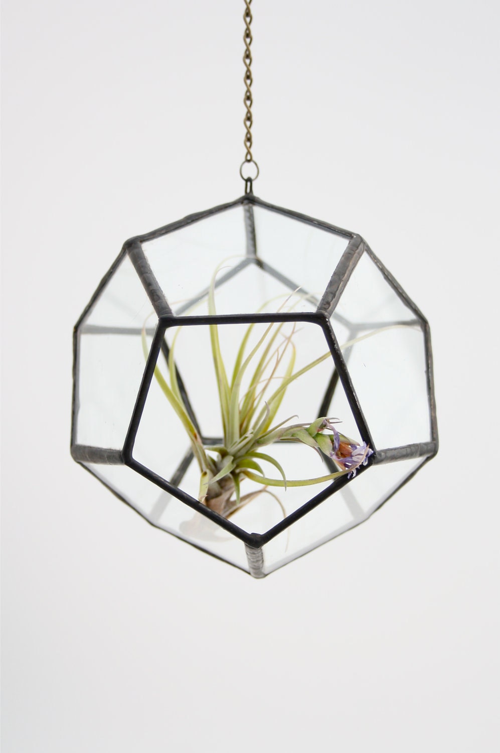 Hanging //recycled glass// Terrarium - Small Dodecahedron
