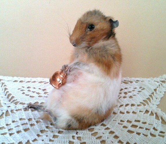 Taxidermy Hamster Holding Tea Kettle by PreciousCreature on Etsy