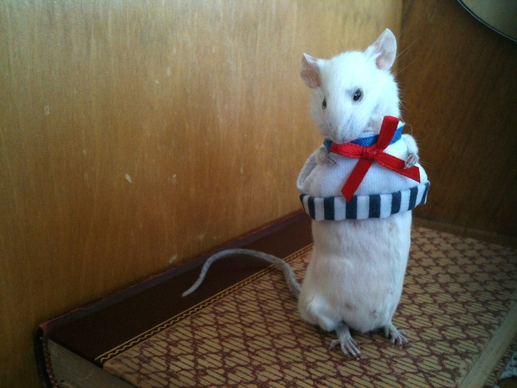 Little Mimi Anthropomorphic Taxidermy Mouse