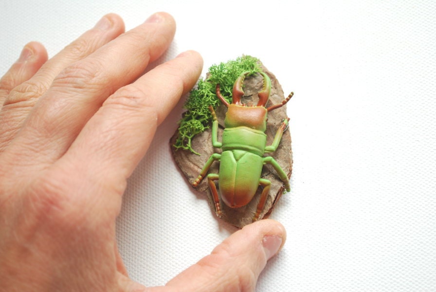 Green stag beetle-Spring forest inspired beetle brooch,boutonniere or hair clip-Weddings,accessories,groom,men-Nature,woodland