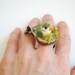 Cute bird-Spring ring-Woodland,forest-Woodland wedding,geekery-Nest,moss,wood.