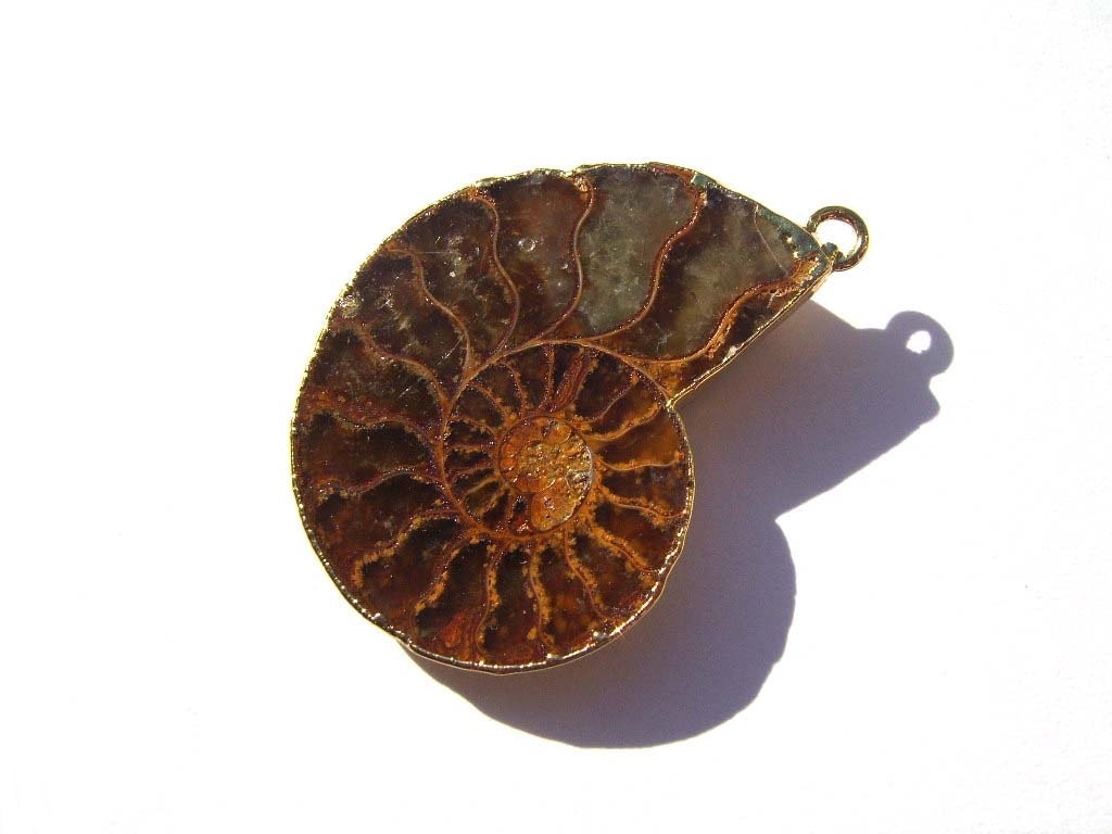 Fossil GOLD VERMEIL ammonite pendant