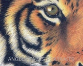 ACEO MAGNET TIGER. Magnet print of my original tiger marker pen and ink drawing - AngelsFacesPortraits