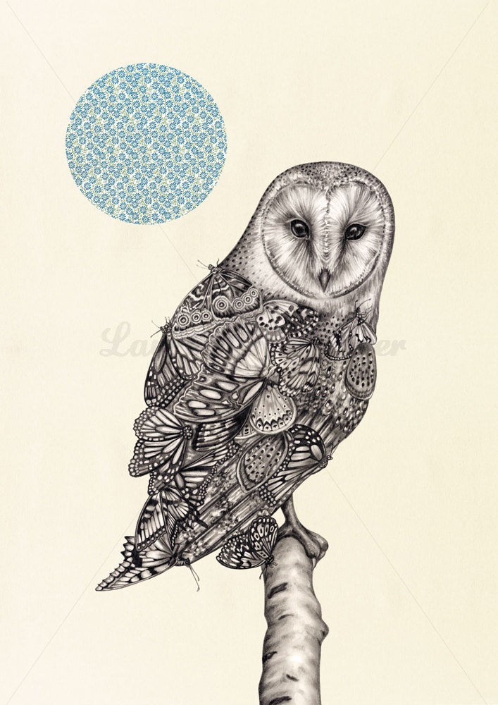 The Owl And The Butterfly - Illustration Art Print A3