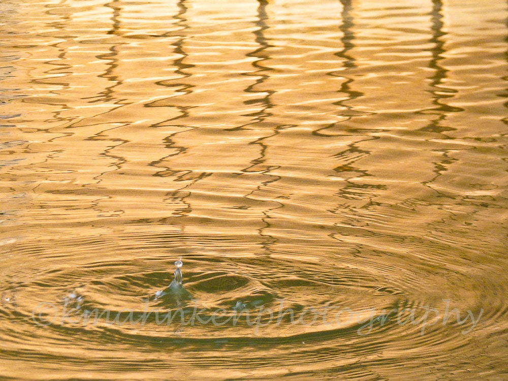 Ripples and Reflections - Matted Digital Photograph, 8x10"