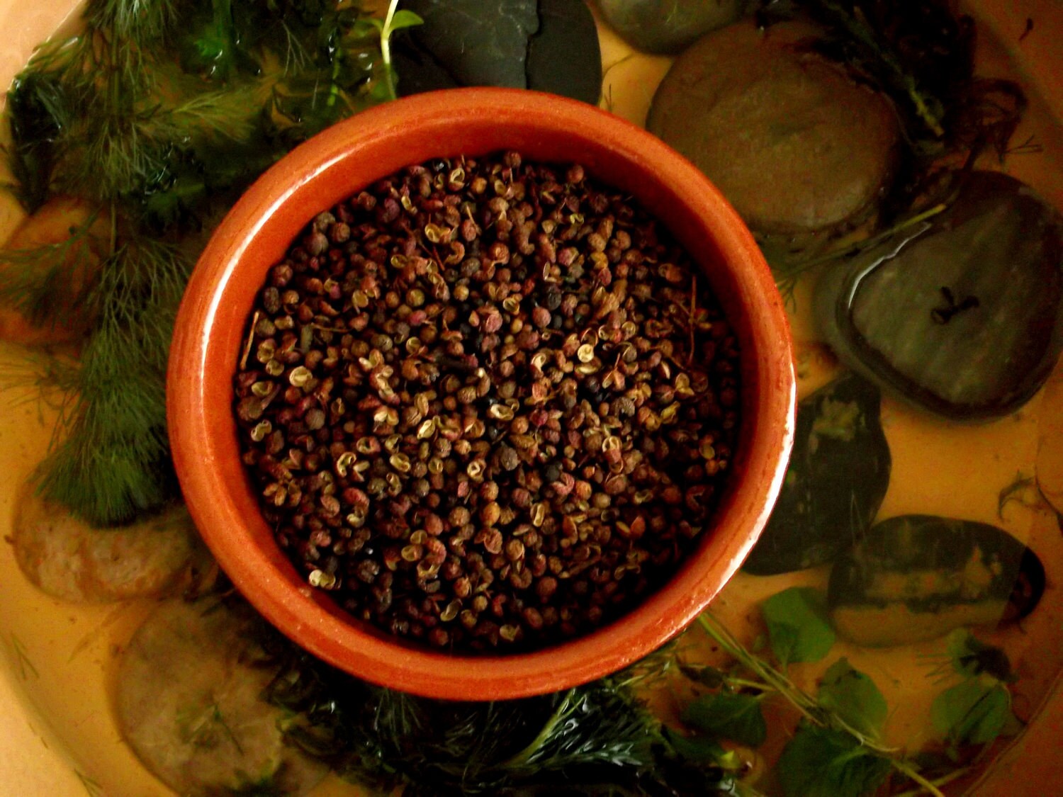 Guinea Pepper