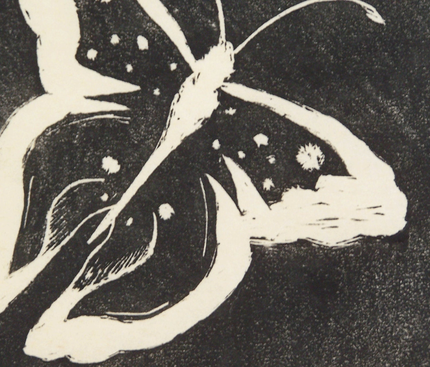 Black and white, butterfly  lineoulm print