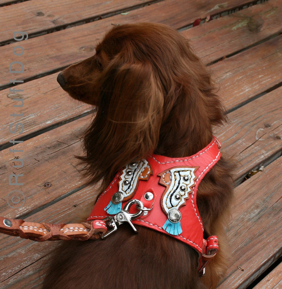 Custom Leather Dog Harness-Indian Chiefs-Size Tiny thru Med.