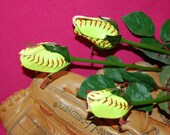 baseball, softball, football, soccer, basketball, tennis ball.