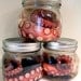 Real Preserved Octopus Tentacle Wet Specimen Decor