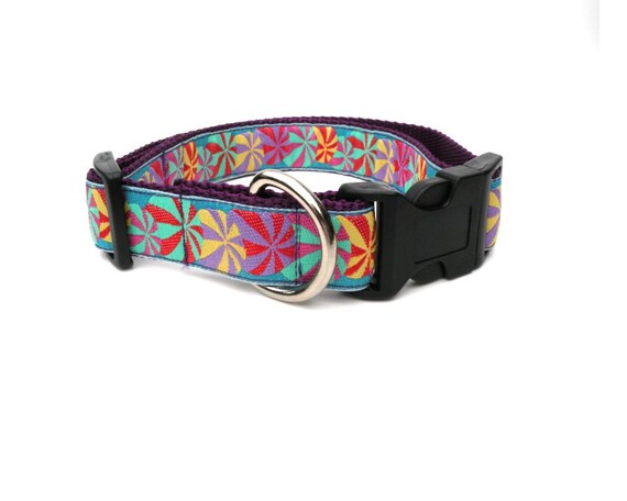 Purple Dog Collar Large Adj. with Beach Ball Trim