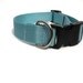 Medium Dog Collar Adjustable in Hot Pink Green Blue Purple