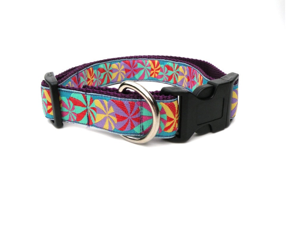 Purple Dog Collar Large Adj. with Beach Ball Trim
