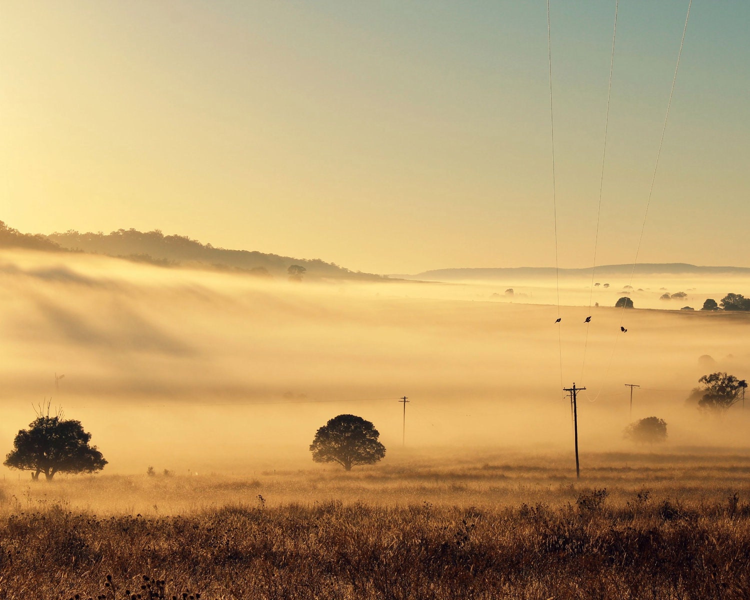 Country landscape in the morning fog