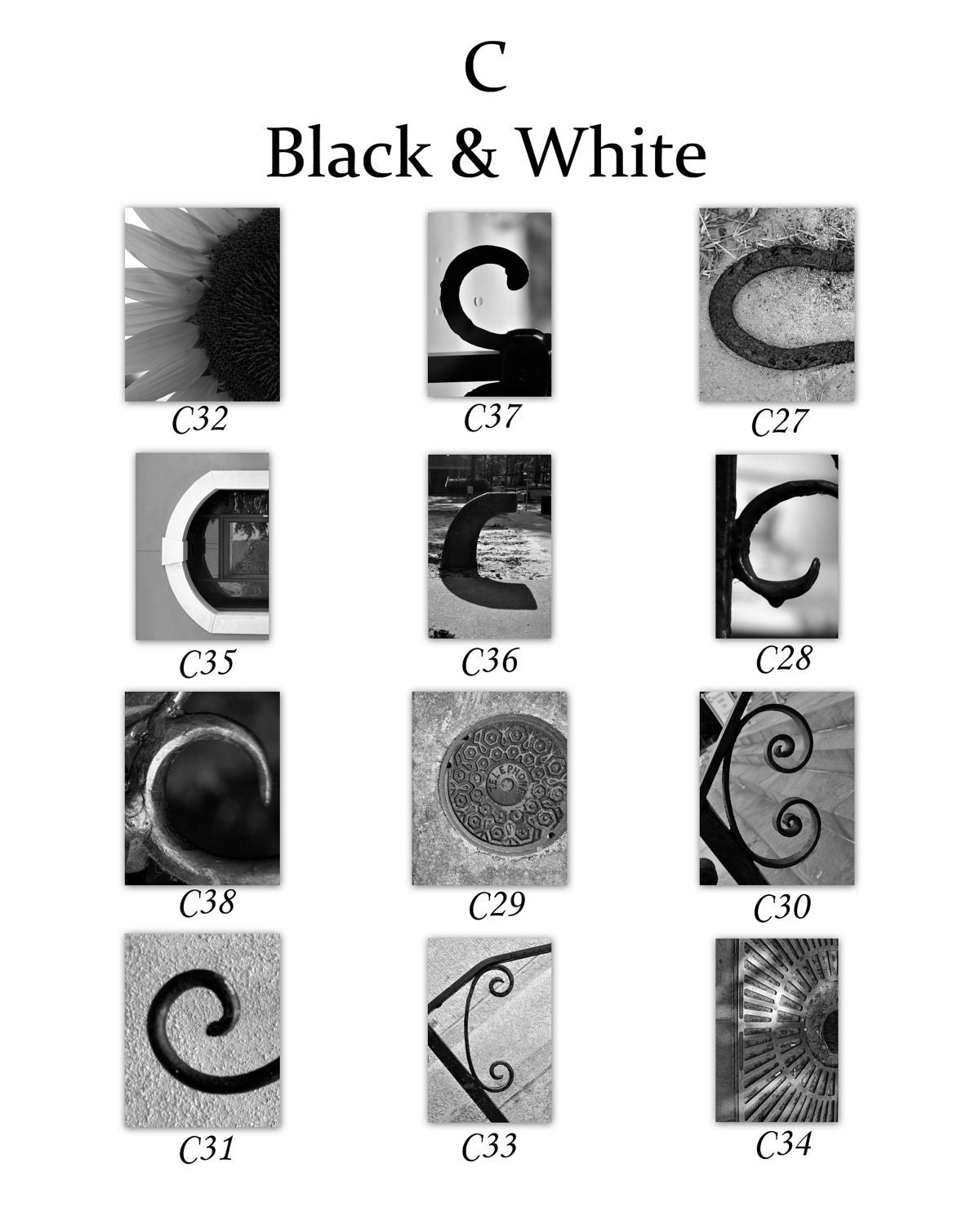 C Alphabet Letter Photography 4x6 unframed FREE SHIPPING