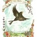 Broken Wings 8x10 Print by Kit Chase