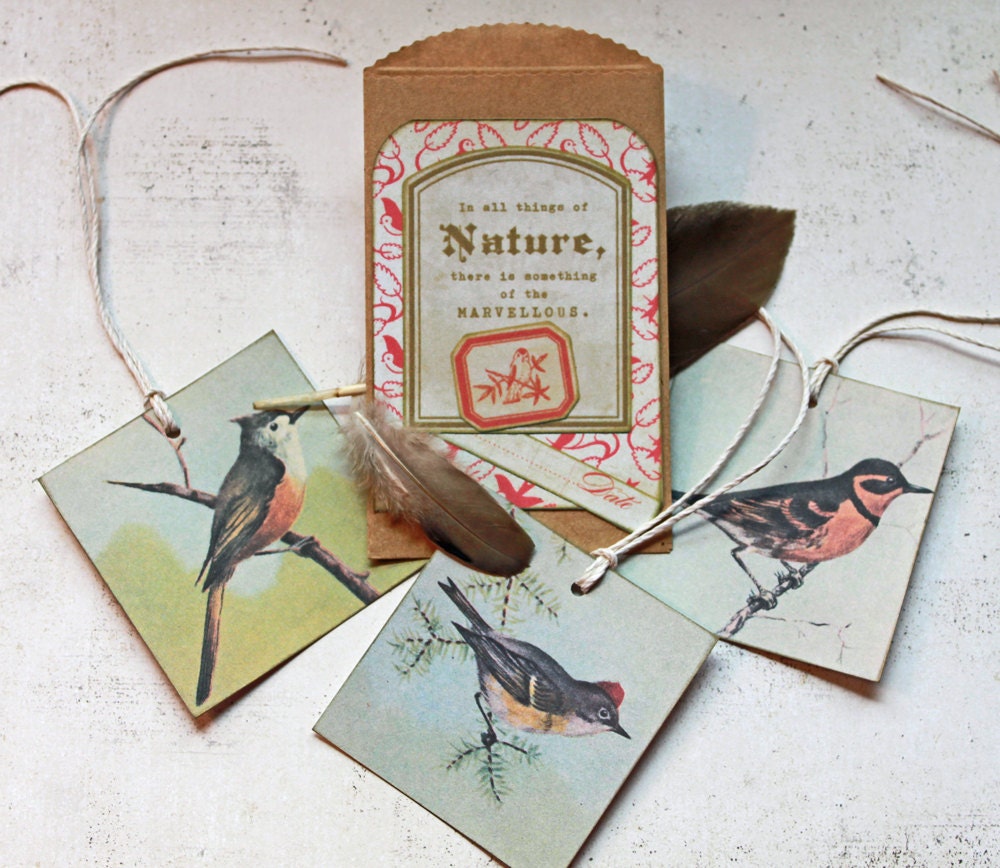 3 Vintage bird image tags with craft brown envelope with nature label.