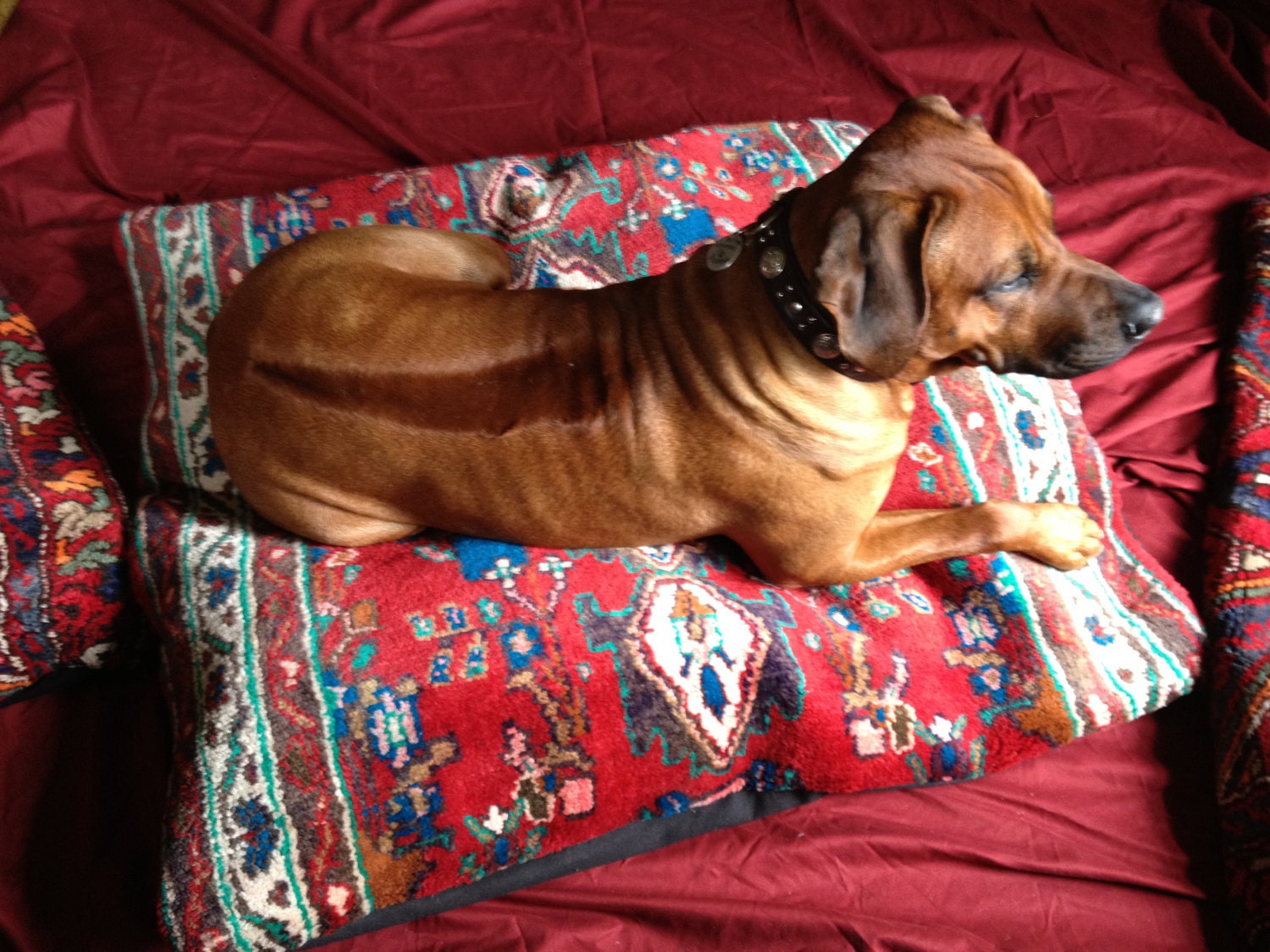 This pillow is reserved for Sarah Jones