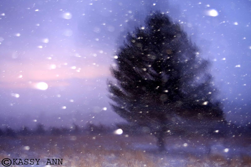8x12 Fine Art Winter Scene Print. Beautiful Home Decor Artwork.