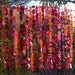 Wedding Garland Backdrop- Waxed Paper Dots