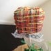 Rainbow Cake Pops