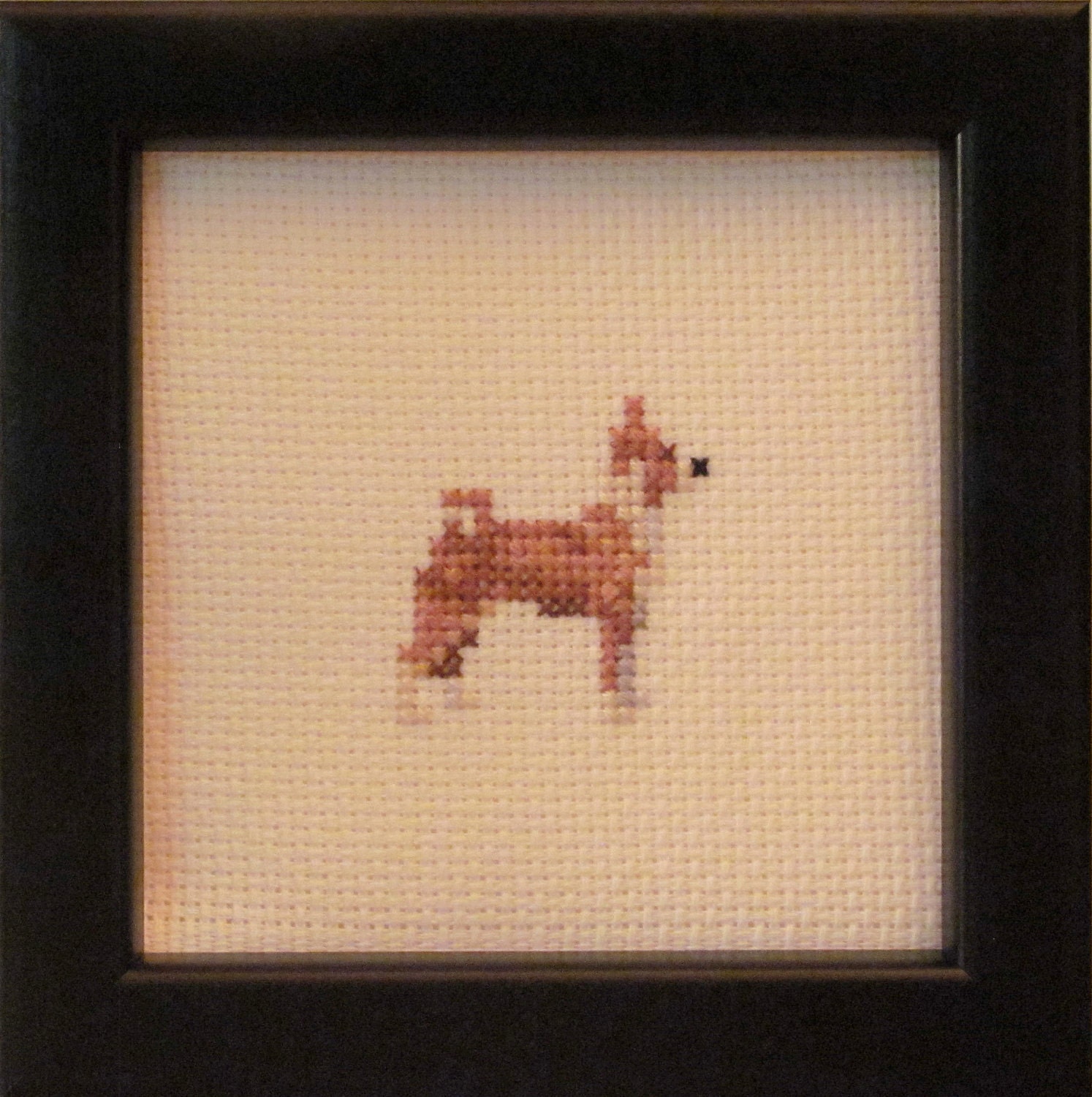 Basenji Cross