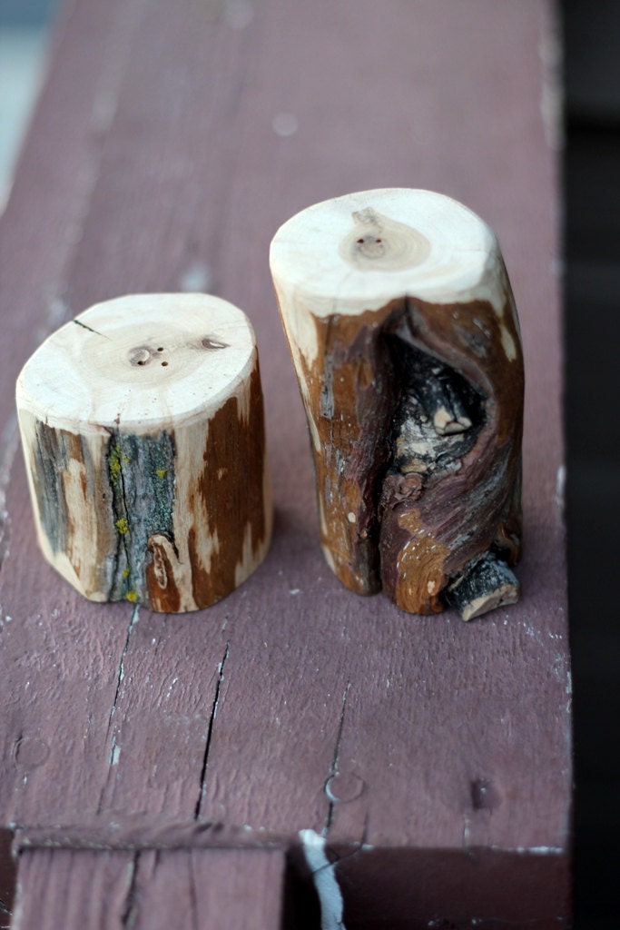 Salt and Pepper shakers - Reclaim Wood Handmade