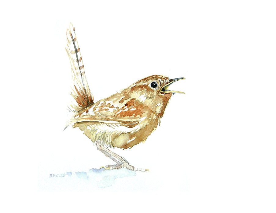 WREN original watercolor painting by Eva Forest A4